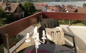 Seeblick Schloßhalde Bodman